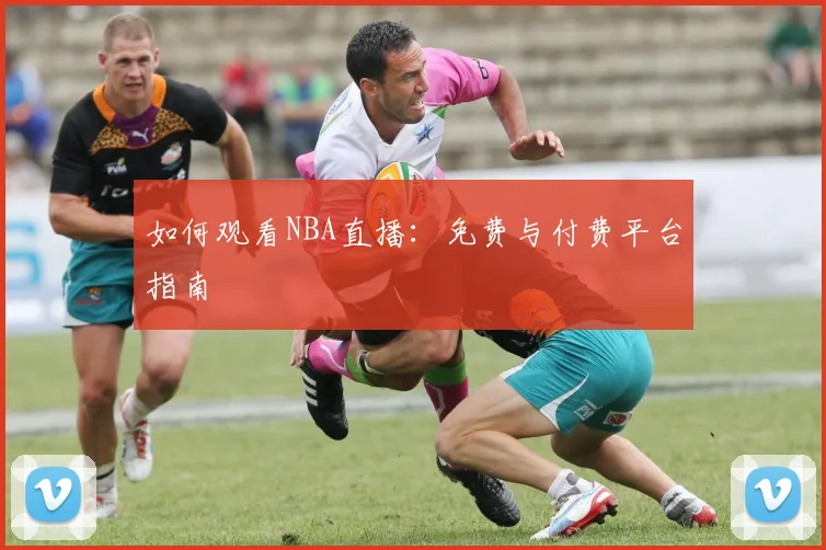 如何观看NBA直播:免费与付费平台指南