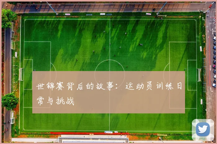 世锦赛背后的故事:运动员训练日常与挑战