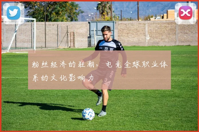 粉丝经济的狂潮，电竞全球职业体系的文化影响力