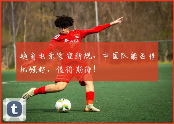 越南电竞官宣新规,中国队能否借机崛起,值得期待!